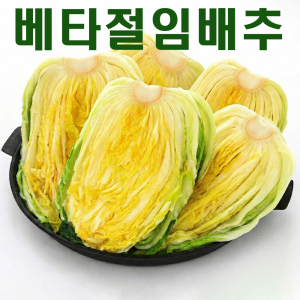 [영월유팜] 베타절임배추 20kg 영월절임배추 고랭지배추