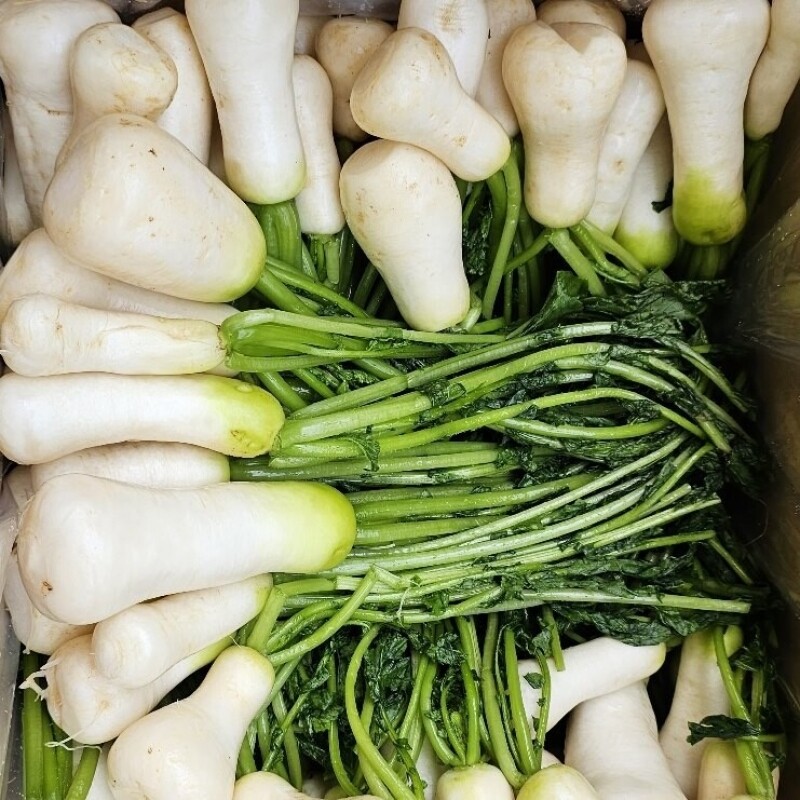 영월유팜,[영월유팜] 절임알타리 10kg