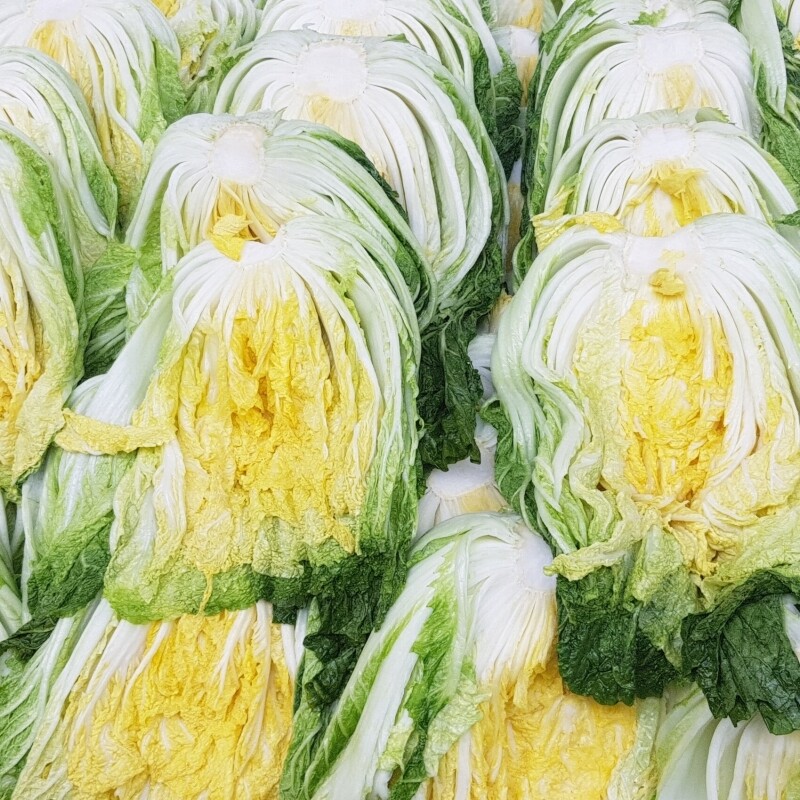 영월유팜,[못난이상품] 영월유팜 절임배추 20kg 영월절임배추